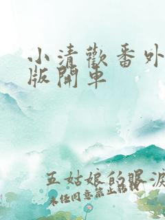 小清欢番外完整版开车