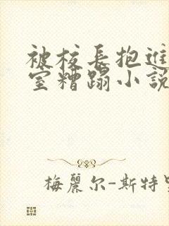 被校长抱进办公室糟蹋小说