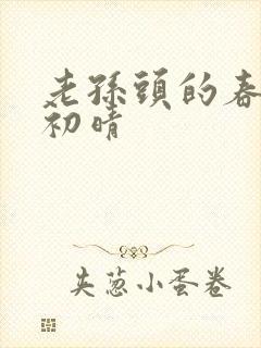 老孙头的春天林初晴