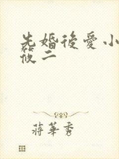 先婚后爱小说梦筱二