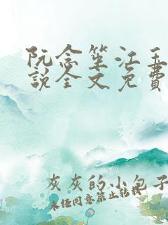 阮念笙江玉楼小说全文免费阅读