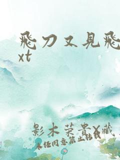 飞刀又见飞刀txt
