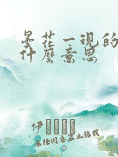 昙花一现的现是什么意思