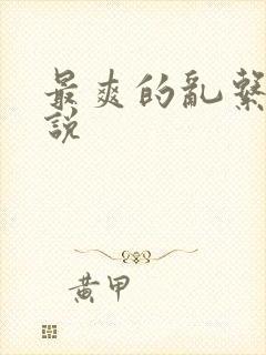 最爽的乱系列小说