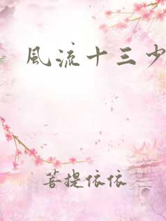 风流十三少