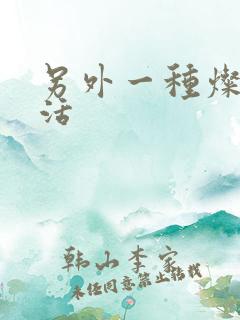 另外一种灿烂生活