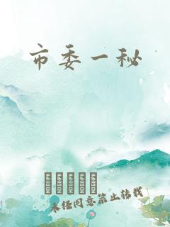 市委一秘