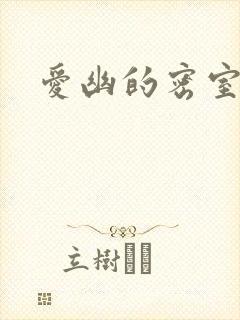 爱幽的密室小说