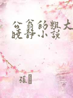 公翁的粗大放进晓静小说