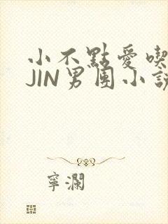 小不点爱吃肉混JIN男团小说