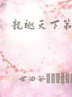 龙巡天下第四部
