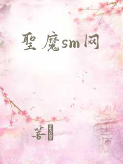 圣魔sm网