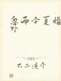 忽而今夏婚后番外
