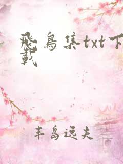 飞鸟集txt下载