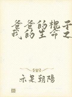 爸爸的棍子顶着我的生命之门