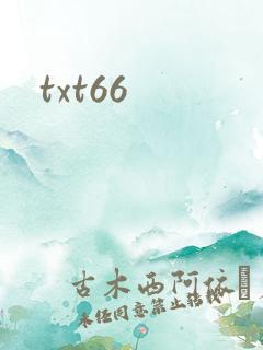 txt66