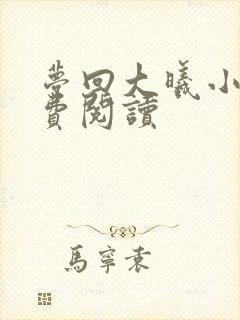 梦回大曦小说免费阅读