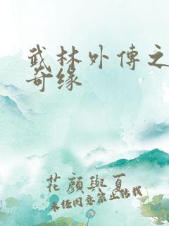 武林外传之同福奇缘