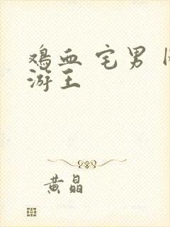 鸡血 宅男 网游王