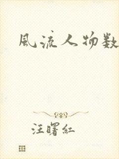 风流人物数当代