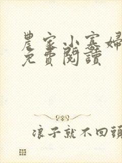 农家小寡妇全文免费阅读