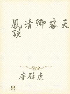 凤清卿容天凌小说