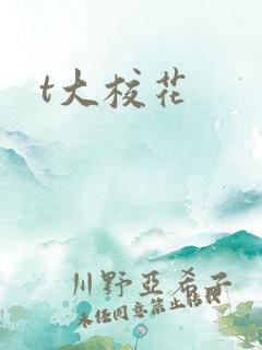 t大校花