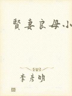 贤妻良母小说