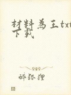 材料为王txt下载