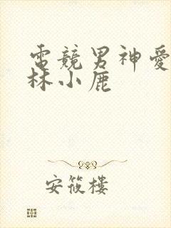 电竞男神爱上我林小鹿