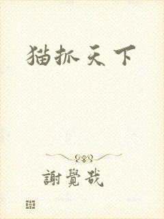 猫抓天下