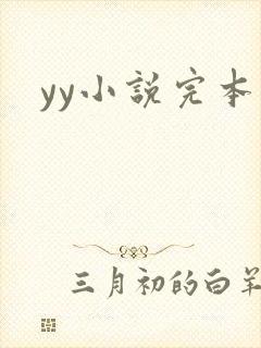 yy小说完本