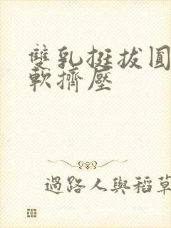 双乳挺拔圆润柔软挤压