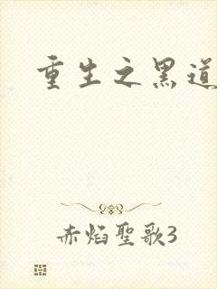 重生之黑道传奇