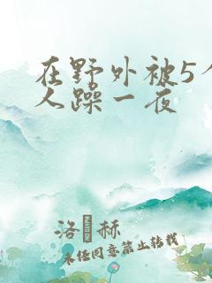 在野外被5个男人躁一夜