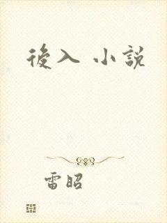 后入 小说