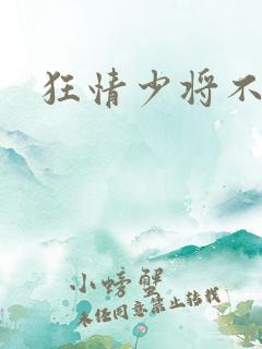 狂情少将不良妻