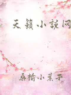 天籁小说网