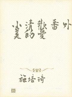 小清欢番外篇完美的爱