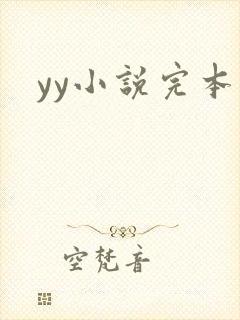 yy小说完本