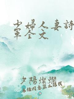 少妇人妻诗雨小军全文
