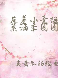 反差小青梅不经叶涵季园园