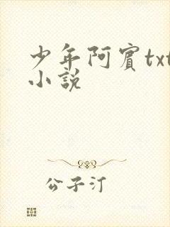 少年阿宾txt小说