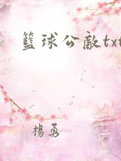 篮球公敌txt