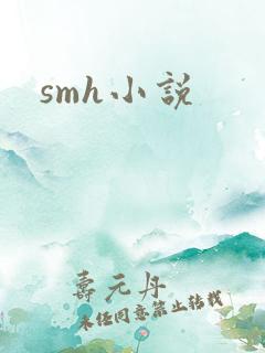 smh小说
