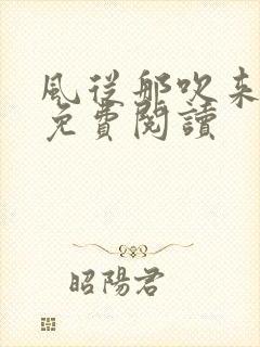 风从那吹来小说免费阅读