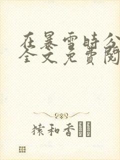 在暴雪时分小说全文免费阅读