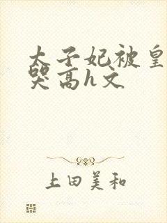 太子妃被皇上c哭高h文