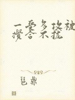 一受多攻被双龙搅合不拢