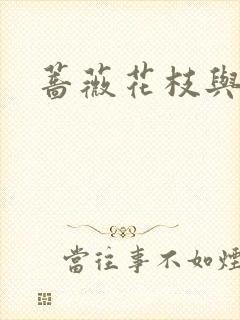 蔷薇花枝与灰烬